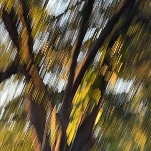 Meet your Posher, Carlos